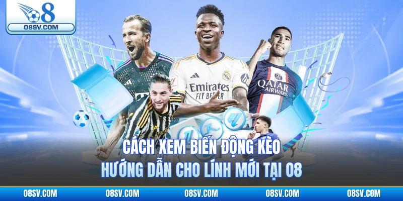 Cách Xem Biến Động Kèo - Hướng Dẫn Cho Lính Mới Tại O8